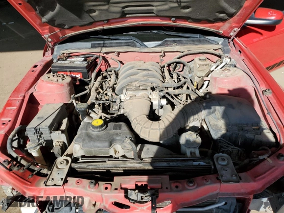 2008 Ford Mustang GT Deluxe with VIN 1ZVHT85H785150030, listed as a Copart auction lot 50251055 with 195,111 mi miles and Salvage Title. Bid and sale history available at DreamBid. Image 11.