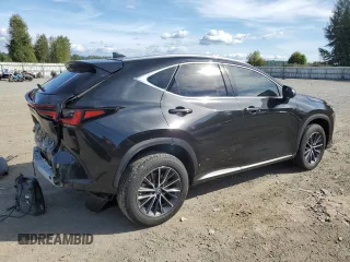 2022 Lexus NX with VIN 2T2GKCEZ8NC004372, listed as a Copart auction lot 67303123 with 16,217 mi miles. Bid and sale history available at carsss.com. Image 3.