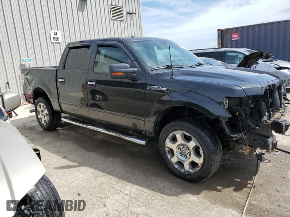 2010 Ford F-150 XL with VIN 1FTFW1EV2AFD23600, listed as a Copart auction lot 54312395 with 250,649 mi miles and Clean Title. Bid and sale history available at carsss.com. Image 4.