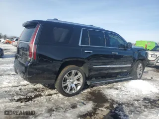 2017 Cadillac Escalade Premium Luxury with VIN 1GYS3CKJ5HR150789, listed as a Copart auction lot 87924105 with 170,933 mi miles and Salvage Title. Bid and sale history available at carsss.com. Image 3.