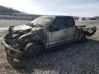 2017 Ford F-150 XL with VIN 1FTFX1EF8HFA34138, listed as a Copart auction lot 48054865 with Not Provided miles and Salvage Title. Bid and sale history available at carsss.com. Image 1.