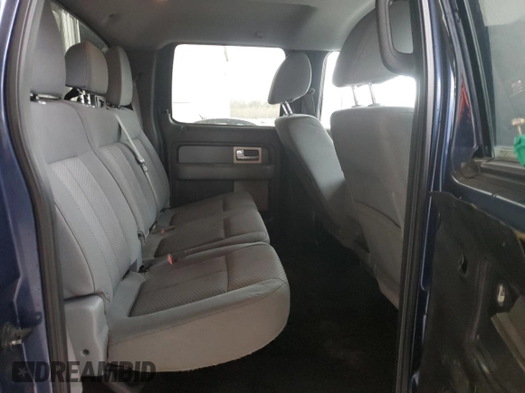 2011 Ford F-150 XLT with VIN 1FTFW1ET2BFB81443, listed as a Copart auction lot 46299165 with 250,287 mi miles and Salvage Title. Bid and sale history available at carsss.com. Image 11.