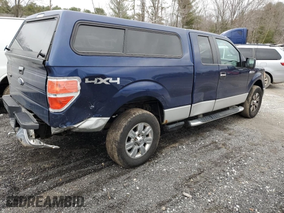 2010 Ford F-150 XL with VIN 1FTEX1E81AFB18871, listed as a Copart auction lot 51140165 with 163,462 mi miles and Clean Title. Bid and sale history available at carsss.com. Image 3.