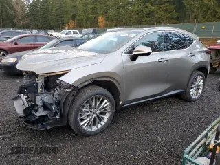2024 Lexus NX with VIN 2T2HKCEZ1RC025204, listed as a Copart auction lot 81629844 with 11,797 mi miles and Salvage Title. Bid and sale history available at carsss.com. Image 1.