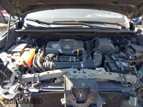 2018 Lexus NX with VIN JTJYARBZ1J2095980, listed as a IAAI auction lot 41638008 with 117,354 mi miles. Bid and sale history available at carsss.com. Image 10.