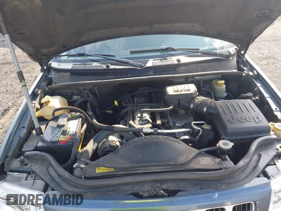 2004 Jeep Grand Cherokee Laredo с VIN 1J4GW48S14C223205, выставлен на аукционе IAAI как лот 42797308 с пробегом 200 294 миль миль и . История ставок и продаж доступна на DreamBid. Изображение 10.
