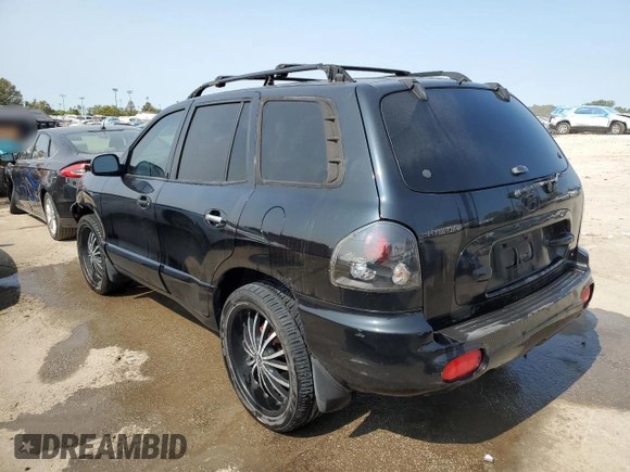 2003 Hyundai Santa Fe GLS with VIN KM8SC13D63U360869, listed as a Copart auction lot 70447874 with 206,488 mi miles and Salvage Title. Bid and sale history available at carsss.com. Image 2.