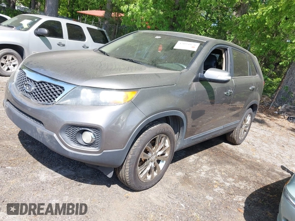 2011 Kia Sorento EX with VIN 5XYKU4A20BG027684, listed as a IAAI auction lot 42094876 with 1 mi miles. Bid and sale history available at carsss.com. Image 2.