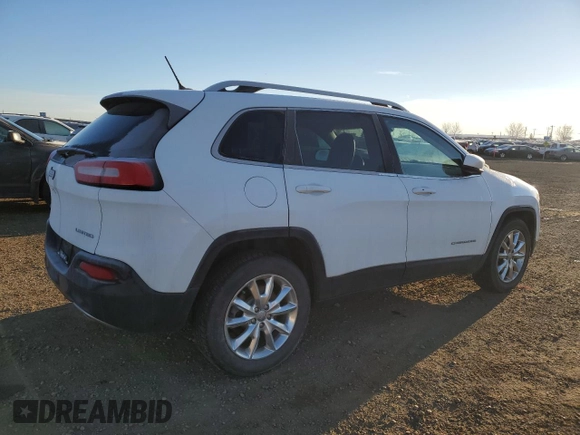2014 Jeep Cherokee Limited with VIN 1C4PJMDS6EW262687, listed as a Copart auction lot 78451964 with 176,177 mi miles and Clean title. Bid and sale history available at DreamBid. Image 3.