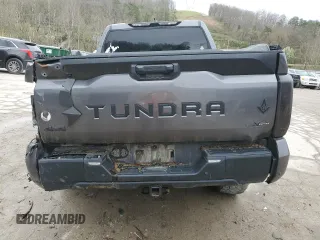 2023 Toyota Tundra SR5 with VIN 5TFLA5DB7PX064282, listed as a Copart auction lot 51097575 with Not provided miles and Salvage title. Bid and sale history available at DreamBid. Image 6.