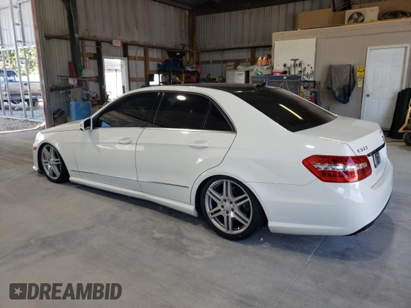 2010 Mercedes-Benz E-Class E 550 Luxury with VIN WDDHF9AB2AA228248, listed as a Copart auction lot 73680464 with 153,586 mi miles and Salvage Title. Bid and sale history available at carsss.com. Image 2.
