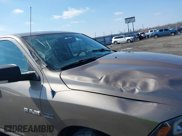 2010 Dodge 1500 SLT z VIN 1D7RV1CT7AS229291, wystawiony jako IAAI lot #41566144 z przebiegiem 130 639 mil mil oraz . Historia ofert i sprzedaży dostępna na DreamBid. Obrazek 6.