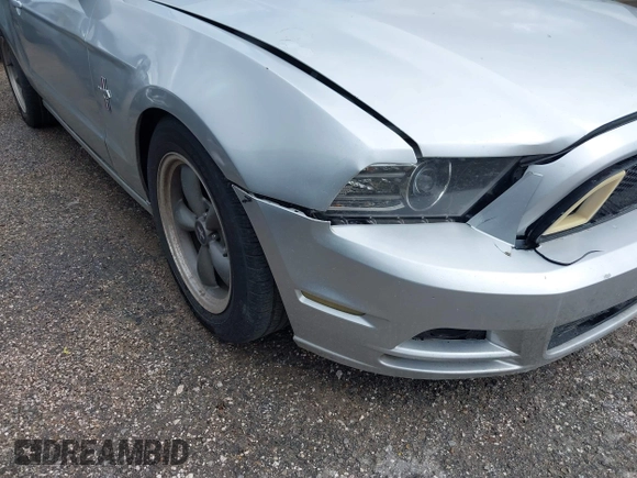 2013 Ford Mustang V6 with VIN 1ZVBP8AM1D5278884, listed as a IAAI auction lot 42507720 with 123,854 mi miles and . Bid and sale history available at DreamBid. Image 18.