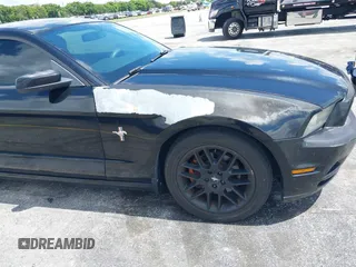 2013 Ford Mustang V6 with VIN 1ZVBP8AM5D5263496, listed as a IAAI auction lot 42580278 with 107,040 mi miles and . Bid and sale history available at DreamBid. Image 17.