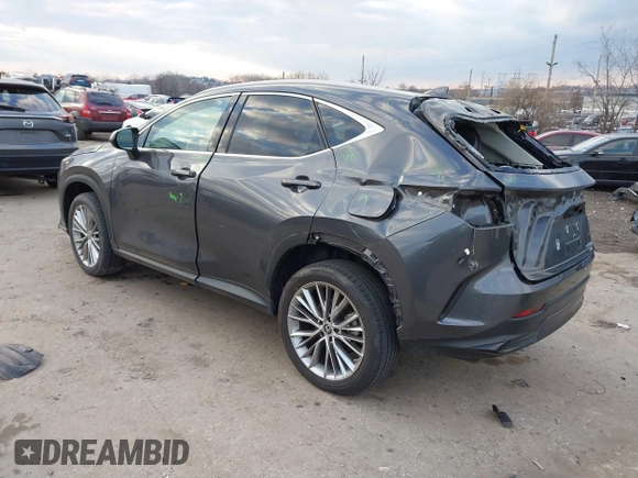 2023 Lexus NX with VIN 2T2HGCEZ2PC024481, listed as a IAAI auction lot 41203195 with 1 mi miles. Bid and sale history available at carsss.com. Image 3.