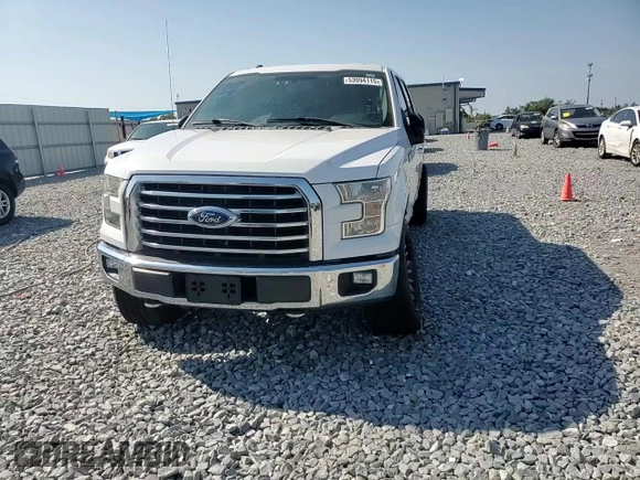 2016 Ford F-150 XLT with VIN 1FTEW1EP3GFC13385, listed as a Copart auction lot 53094115 with 136,272 mi miles and Salvage Title. Bid and sale history available at carsss.com. Image 13.