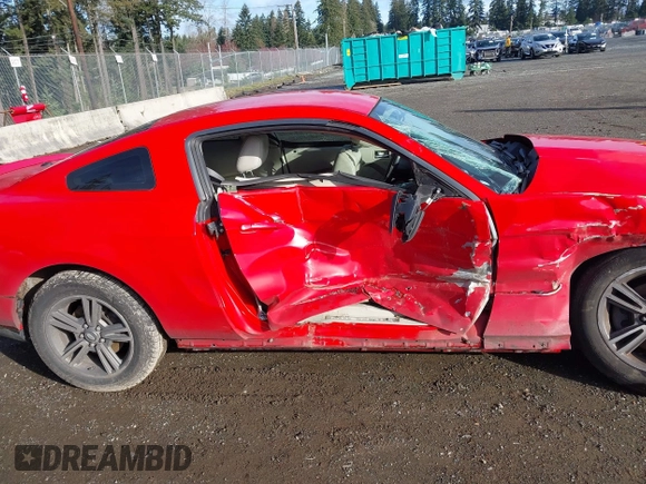 2011 Ford Mustang V6 with VIN 1ZVBP8AM3B5109480, listed as a IAAI auction lot 41783531 with 211,866 mi miles and . Bid and sale history available at DreamBid. Image 12.