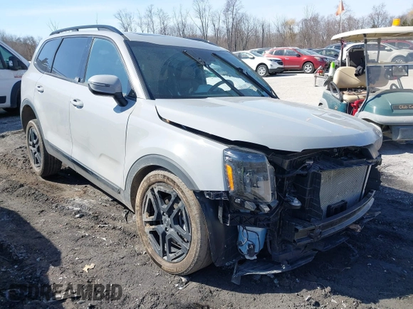 2024 Kia Telluride EX X-Line z VIN 5XYP3DGC1RG418796, wystawiony jako IAAI lot #41790576 z przebiegiem Nie podano mil oraz . Historia ofert i sprzedaży dostępna na DreamBid. Obrazek 1.