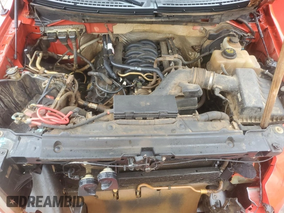 2013 Ford F-150 XL with VIN 1FTFX1EFXDFA24253, listed as a Copart auction lot 44145055 with Not Provided miles and Salvage Title. Bid and sale history available at DreamBid. Image 11.