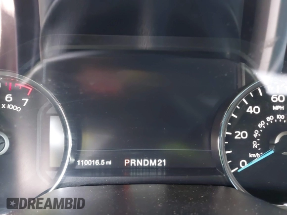 2017 Ford F-150 XL with VIN 1FTEW1EF3HFB61085, listed as a IAAI auction lot 42030502 with 110,016 mi miles and . Bid and sale history available at DreamBid. Image 7.