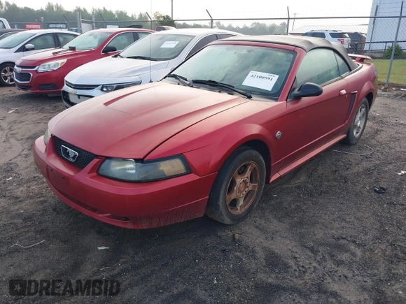 2004 Ford Mustang Deluxe with VIN 1FAFP44604F212319, listed as a IAAI auction lot 42100591 with 191,992 mi miles. Bid and sale history available at carsss.com. Image 2.