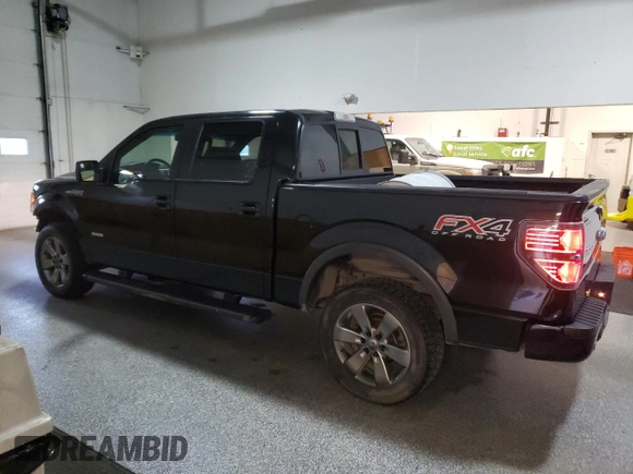 2013 Ford F-150 XL with VIN 1FTFW1ET8DKE41631, listed as a Copart auction lot 41372035 with 152,236 mi miles and Clean Title. Bid and sale history available at DreamBid. Image 2.