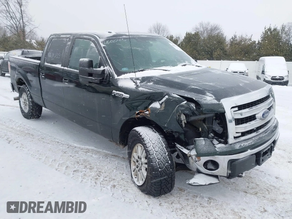 2013 Ford F-150 with VIN 1FTVW1EF4DKE07465, listed as a IAAI auction lot 41601235 with 131,721 mi miles and . Bid and sale history available at DreamBid. Image 6.