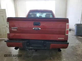 2014 Ford F-150 XL with VIN 1FTFX1EF1EKE17812, listed as a Copart auction lot 84446554 with 106,388 mi miles and Salvage Title. Bid and sale history available at DreamBid. Image 6.