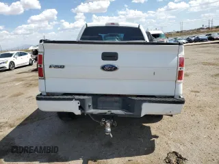 2010 Ford F-150 XL with VIN 1FTEX1EW4AKE08902, listed as a Copart auction lot 64699795 with 288,700 mi miles and Salvage title. Bid and sale history available at DreamBid. Image 6.