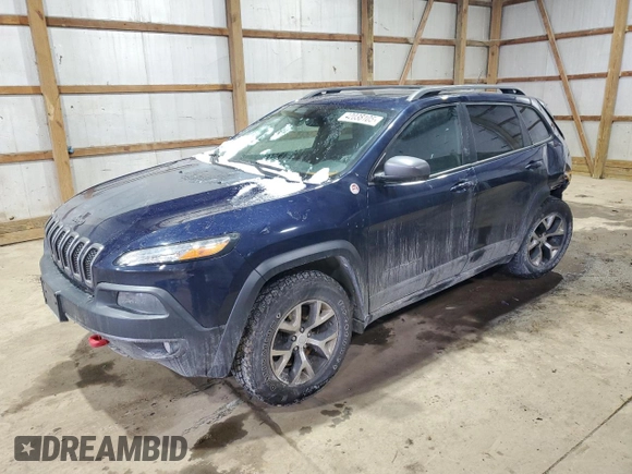 2014 Jeep Cherokee Trailhawk with VIN 1C4PJMBB9EW124371, listed as a Copart auction lot 42038105 with 137,717 mi miles and Salvage Title. Bid and sale history available at carsss.com. Image 1.