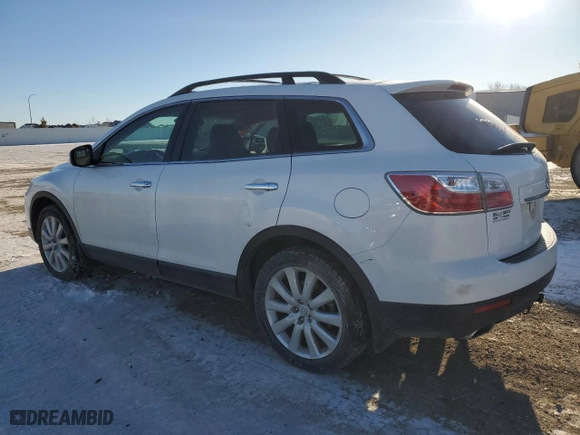 2010 Mazda CX-9 Grand Touring with VIN JM3TB3MA5A0201459, listed as a Copart auction lot 44231325 with 120,063 mi miles and Salvage Title. Bid and sale history available at carsss.com. Image 2.