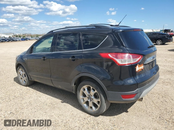 2013 Ford Escape SEL with VIN 1FMCU9H94DUA50063, listed as a Copart auction lot 63008005 with 225,421 mi miles and Salvage title. Bid and sale history available at DreamBid. Image 2.