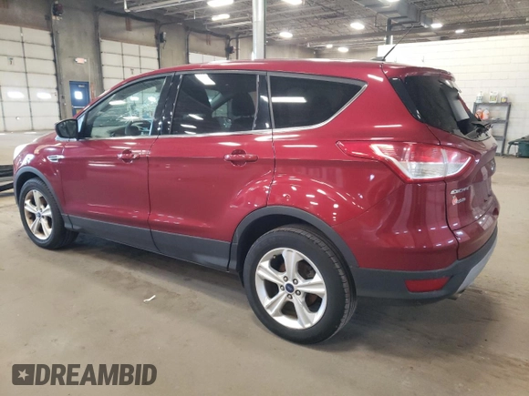 2016 Ford Escape SE with VIN 1FMCU0GX1GUA70710, listed as a Copart auction lot 52299925 with 205,760 mi miles and Salvage Title. Bid and sale history available at carsss.com. Image 2.