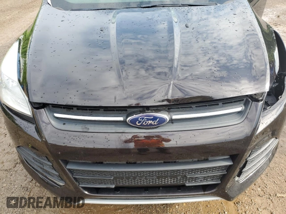 2013 Ford Escape SE with VIN 1FMCU9GX2DUB38657, listed as a Copart auction lot 63438765 with 124,142 mi miles and Clean title. Bid and sale history available at DreamBid. Image 12.