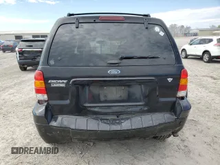 2006 Ford Escape Limited with VIN 1FMCU04196KA18798, listed as a Copart auction lot 50420725 with 113,425 mi miles and Clean title. Bid and sale history available at DreamBid. Image 6.