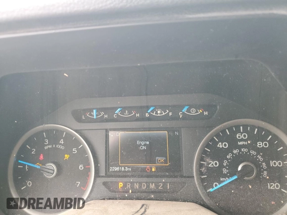 2016 Ford F-150 XL with VIN 1FTEX1CP5GFC96317, listed as a Copart auction lot 43956955 with 229,618 mi miles and Salvage Title. Bid and sale history available at carsss.com. Image 9.