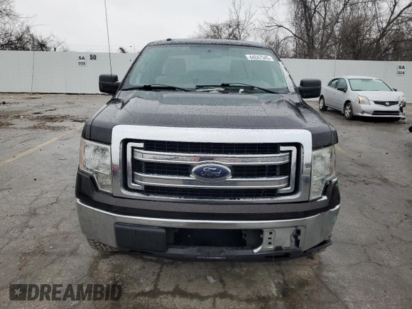 2013 Ford F-150 XL with VIN 1FTEX1EM3DFA07577, listed as a Copart auction lot 44247345 with 324,437 mi miles and Salvage title. Bid and sale history available at DreamBid. Image 5.