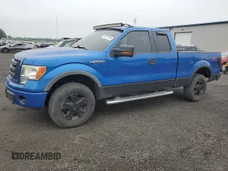 2010 Ford F-150 XL with VIN 1FTFX1EV3AFC01745, listed as a Copart auction lot 63017055 with 126,060 mi miles and Clean title. Bid and sale history available at DreamBid. Image 1.