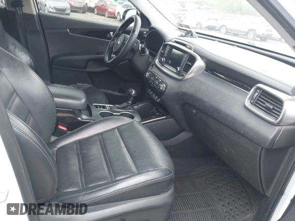 2017 Kia Sorento EX with VIN 5XYPH4A51HG294197, listed as a IAAI auction lot 42198002 with 277,128 mi miles and . Bid and sale history available at carsss.com. Image 5.