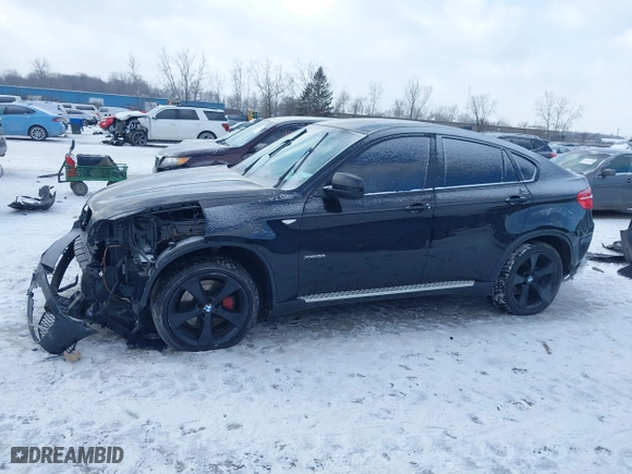 2010 BMW X6 50i with VIN 5UXFG8C55ALZ94803, listed as a IAAI auction lot 41387175 with 114,426 mi miles. Bid and sale history available at carsss.com. Image 14.