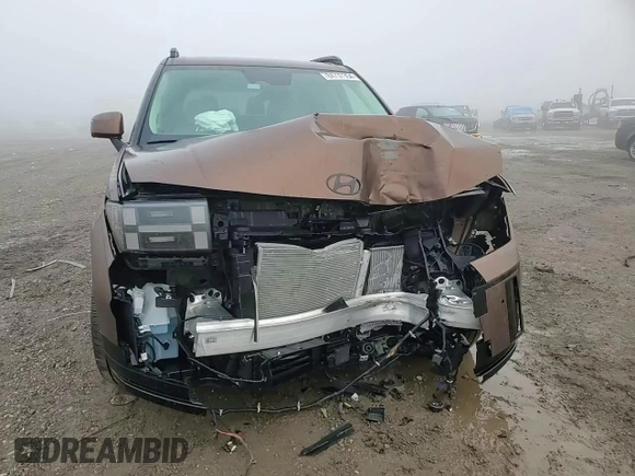 2024 Hyundai Santa Fe Calligraphy with VIN 5NMP5DGLXRH019627, listed as a Copart auction lot 84737354 with 3,873 mi miles and Salvage title. Bid and sale history available at DreamBid. Image 12.