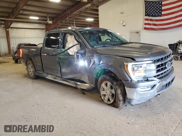 2022 Ford F-150 XL with VIN 1FTFW1ED5NFA09419, listed as a Copart auction lot 49252435 with 38,011 mi miles and Clean Title. Bid and sale history available at carsss.com. Image 4.