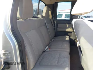 2010 Ford F-150 XL with VIN 1FTEX1E83AFD86062, listed as a IAAI auction lot 41800691 with 160,869 mi miles. Bid and sale history available at carsss.com. Image 8.