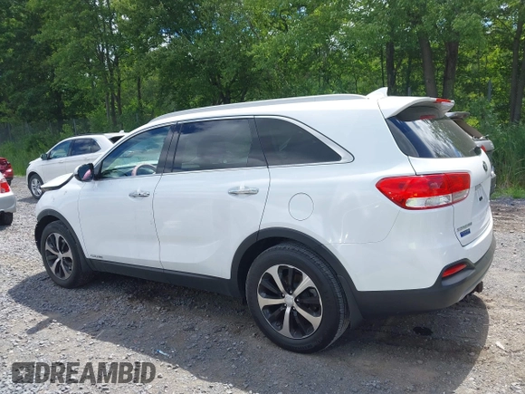 2017 Kia Sorento EX with VIN 5XYPHDA52HG321827, listed as a IAAI auction lot 42747294 with 106,737 mi miles and . Bid and sale history available at DreamBid. Image 14.