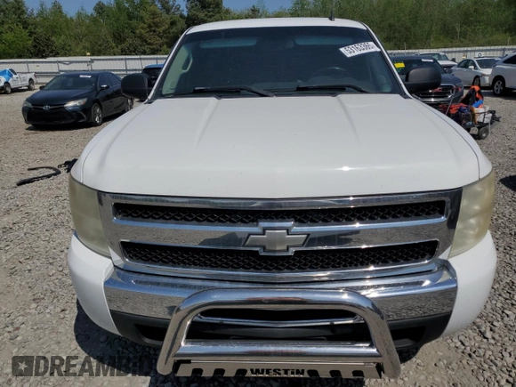 2009 Chevrolet Silverado 1500 with VIN 1GCEC24089Z124609, listed as a Copart auction lot 53163365 with 135,021 mi miles and Clean Title. Bid and sale history available at DreamBid. Image 5.