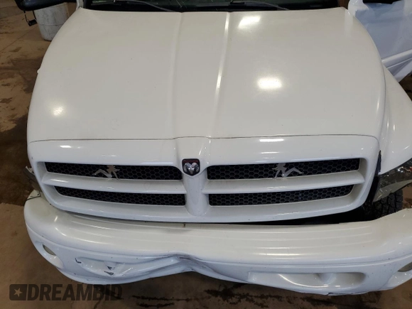 2001 Dodge 1500 with VIN 3B7HF13Y31M294078, listed as a Copart auction lot 61182945 with 176,433 mi miles and Salvage title. Bid and sale history available at DreamBid. Image 11.
