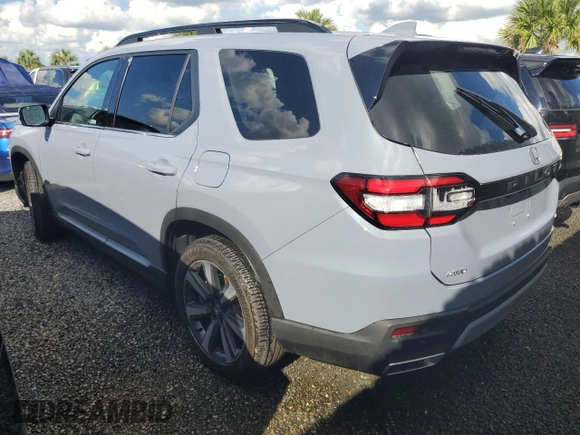 2025 Honda Pilot Elite with VIN 5FNYG1H88SB004011, listed as a Copart auction lot 73641254 with 0 mi miles and Salvage Title. Bid and sale history available at carsss.com. Image 2.