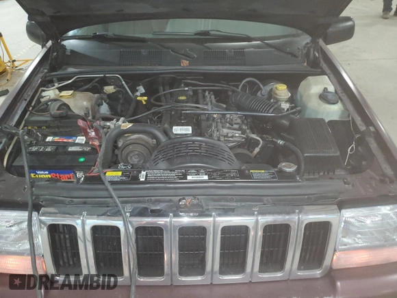 1996 Jeep Grand Cherokee Laredo with VIN 1J4EX58S5TC133225, listed as a Copart auction lot 49132214 with 233,886 mi miles and Non Repairable. Bid and sale history available at carsss.com. Image 12.