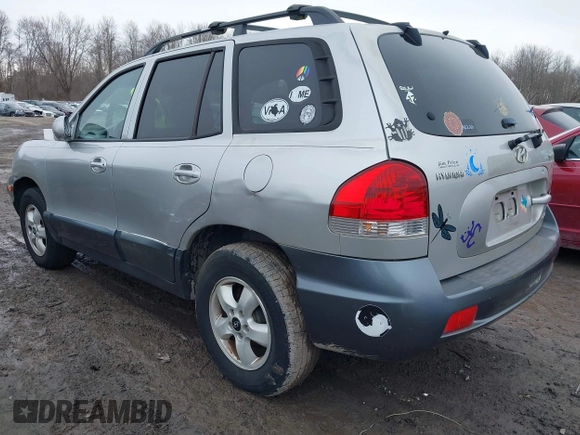 2005 Hyundai Santa Fe GLS with VIN KM8SC73E45U878509, listed as a IAAI auction lot 41776048 with 171,478 mi miles. Bid and sale history available at carsss.com. Image 3.