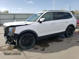 2022 Kia Telluride SX with VIN 5XYP5DHC1NG227009, listed as a Copart auction lot 52576075 with 61,846 mi miles and Salvage title. Bid and sale history available at DreamBid. Image 1.